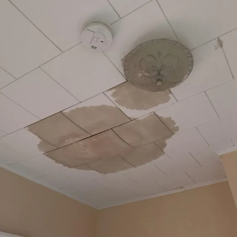 Ceiling Water Damage Repair in Buchanan County, VA