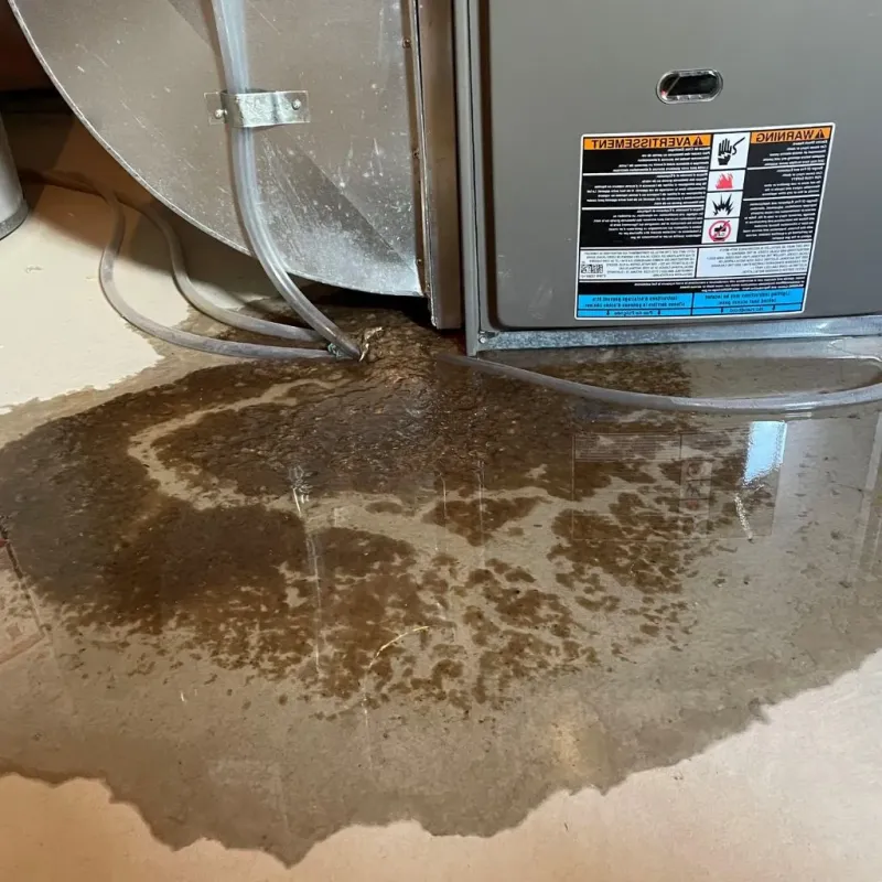 Pipe Burst and Leak Restoration in Buchanan County, VA