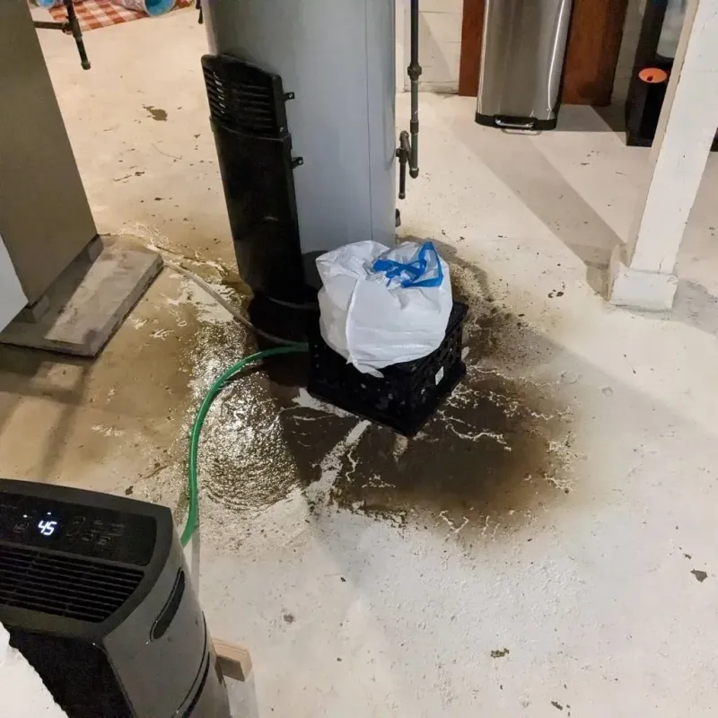 Sewage Backup Cleanup Service in Buchanan County, VA